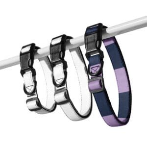 KDPF Braveheart Purple Dices Pet collar