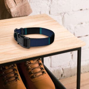 KDPF Braveheart Black Teal Pet collar