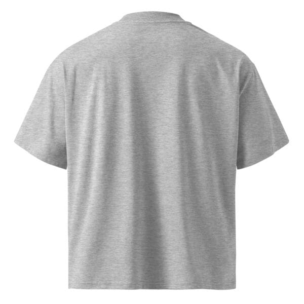 KDPF Braveheart Declaration of Independence Organic Oversized T-shirt - Image 10